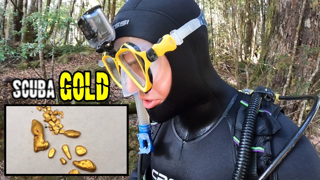 SCUBA DIVING with Rob Parsons for Gold in REMOTE TASMANIA!!
