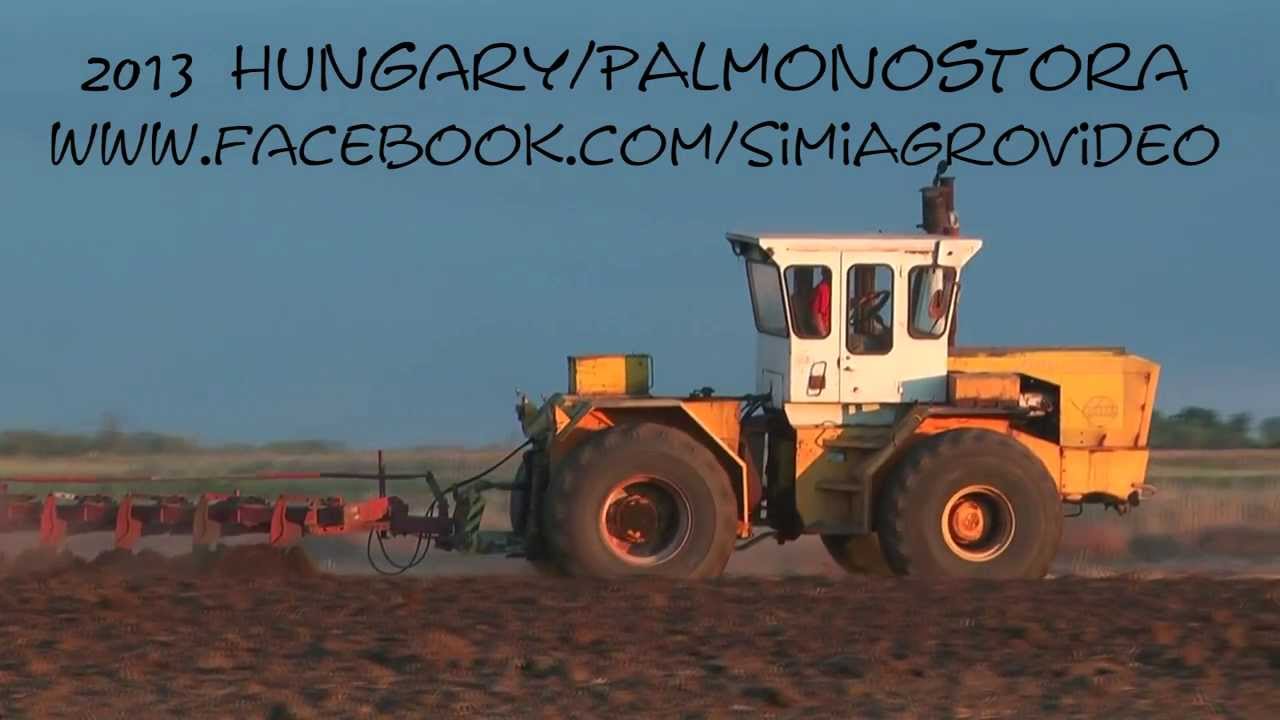 Rába Steiger 250 + IH-10-720 szántás