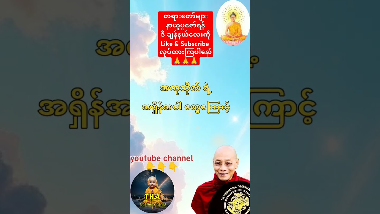 လူတွေဘာကြောင့် အသက်တိုတာလဲ။ #ပါမောက္ခချုပ် #တရားတော်များ #ကြာနီကန် #tayar #dhamma #thadhamma #views