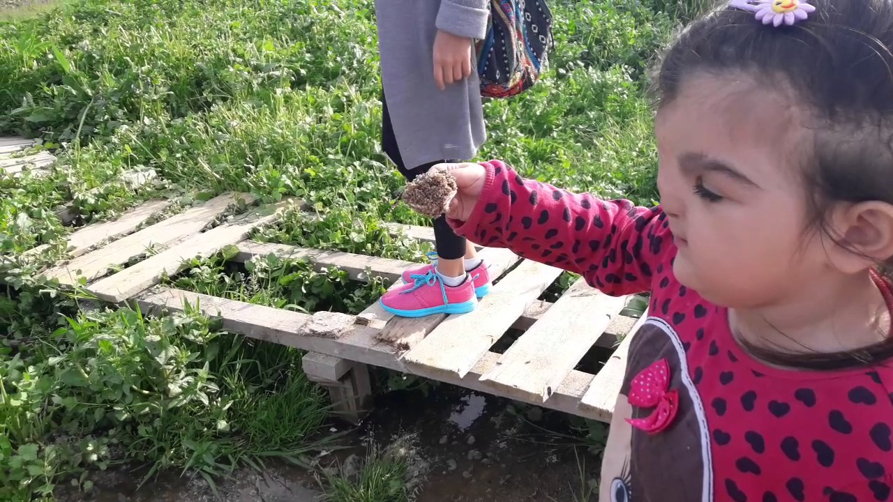 HARIKA COCUK DURU DENIZ KENARINDAN SONRA KESIF ZAMANI