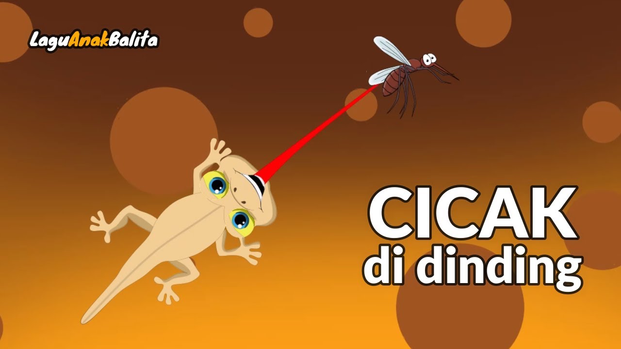 cicak-cicak dinding - Lagu anak balita populer
