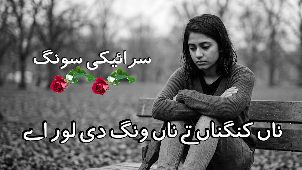 Saraiki Song Ahmad Nawaz Cheena | Slowed & Reverb | 2026 #saraiki #sadsong