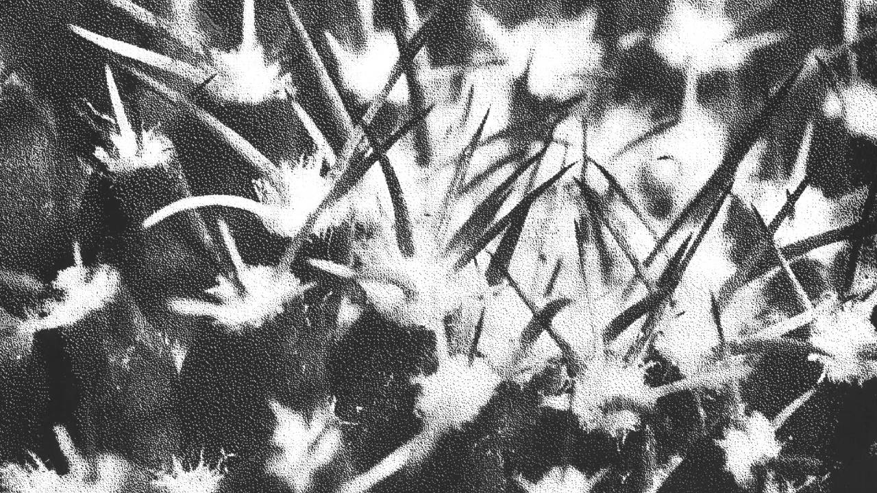 ANDREA BELFI &mdash; Cera Persa 1 (LATENCY 08)