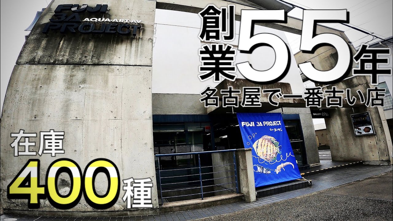 【ショップ訪問】名古屋が誇る老舗アクアショップ FUJI 3A PROJECT #57