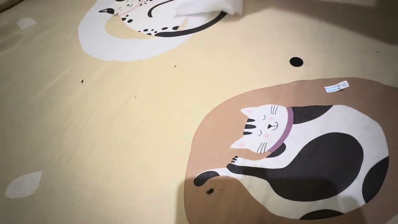 Unboxing Kitbeez KC2 (ASMR).