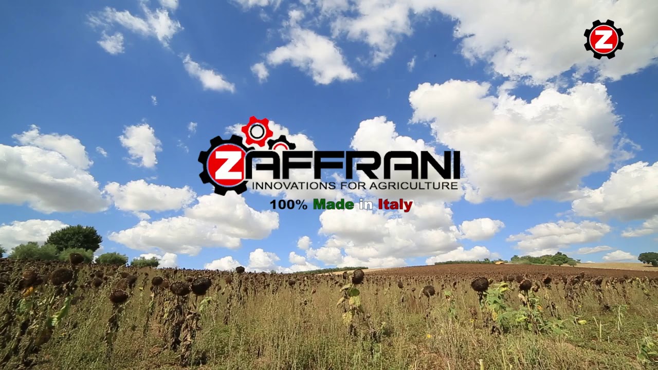 ZAFFRANI: SUNFLOWER HEADER WITH CHOPPER