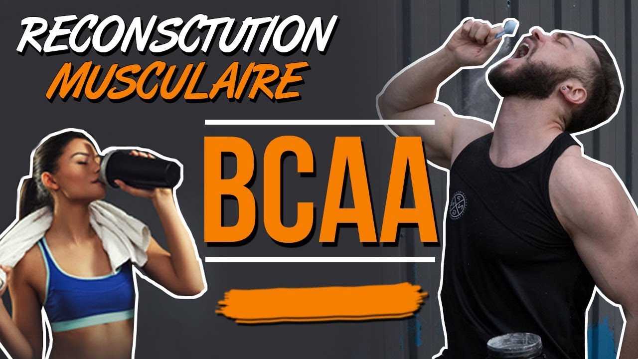 IL FAUT CASSEDALLE DES BCAA CAMARADE