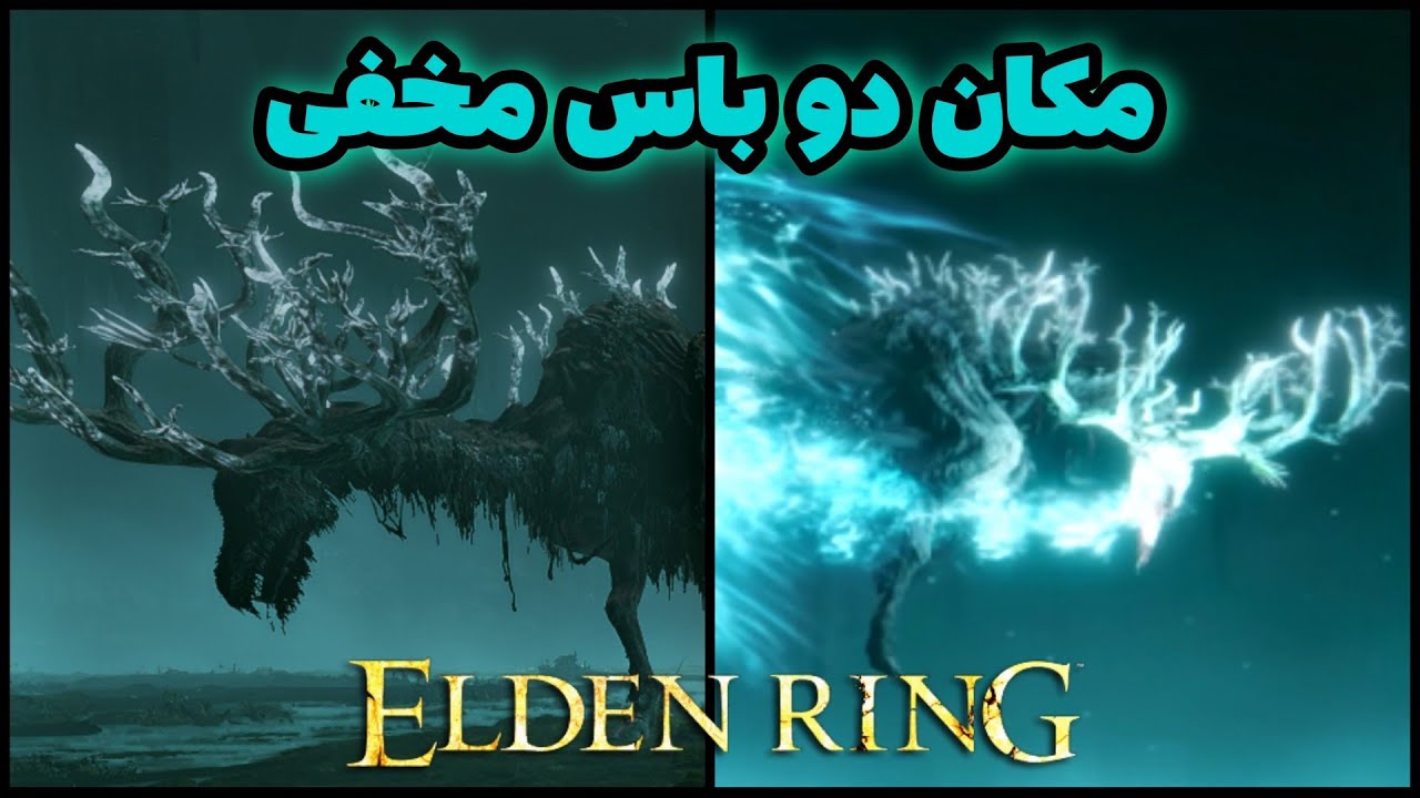 راهنمایی رسیدن به دو باس مخفی بازی الدن رینگ 🔥 باس های مخفی Ancestor Elden Ring