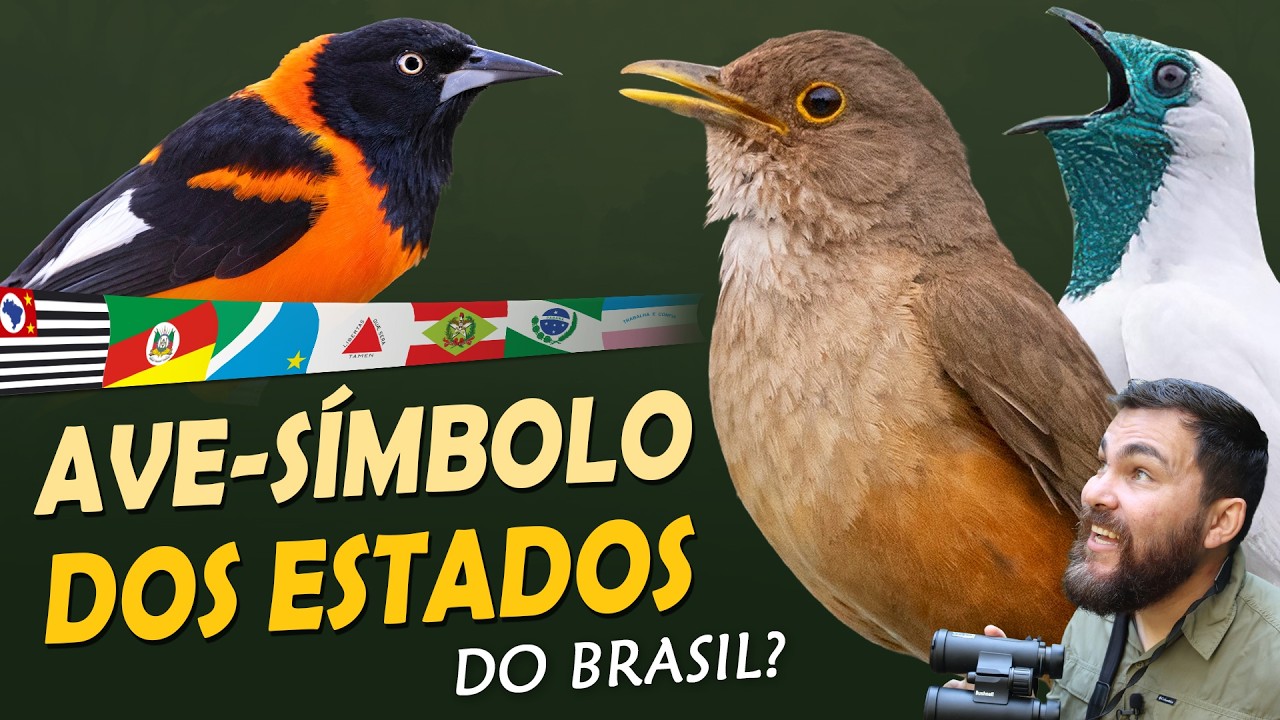 Qual é a AVE-SÍMBOLO de cada ESTADO do Brasil?