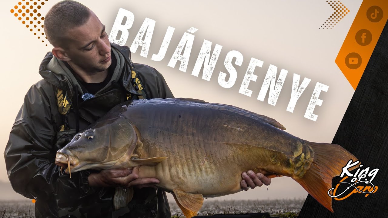 Bajánsenye-Nagy pontyok nyomában 5x20 felett - kingofcarp.hu