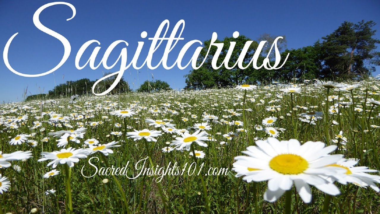 Sagittarius June 2019 - Congratulations!