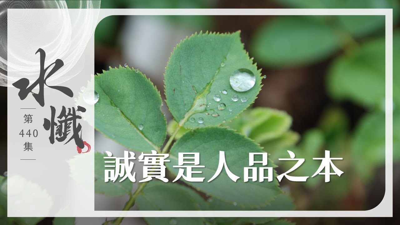 【法譬如水】 誠實是人品之本 - 第440集｜水懺｜慈悲三昧水懺｜ 20251215