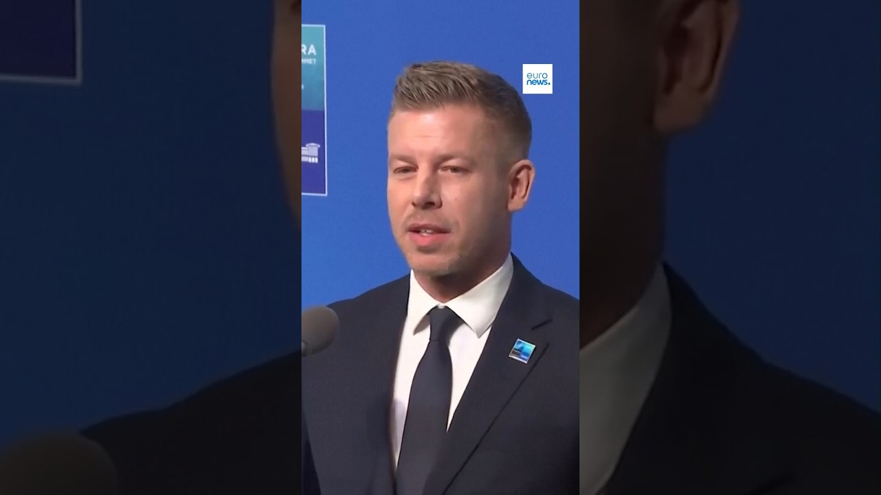 Лидер Венгрии подтвердил отказ от поставок оружия Украине