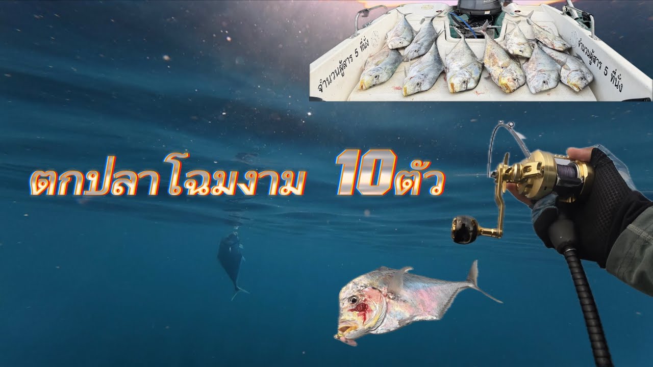 EP.7 Light Jigging ปลาโฉมงาม 10ตัว กินทีละ2ตัว กินยับโคตรมันส์ SLJ - HeavenSeaJigging