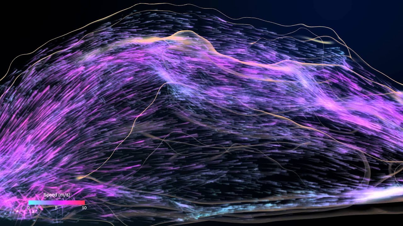 Visualization Of Airflow Through The Human Respiratory System