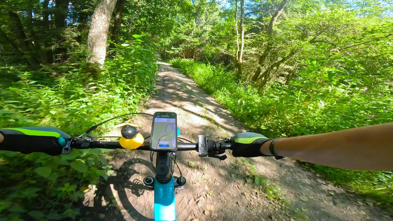 Trail Ride bei Falkenfels / Saulburg