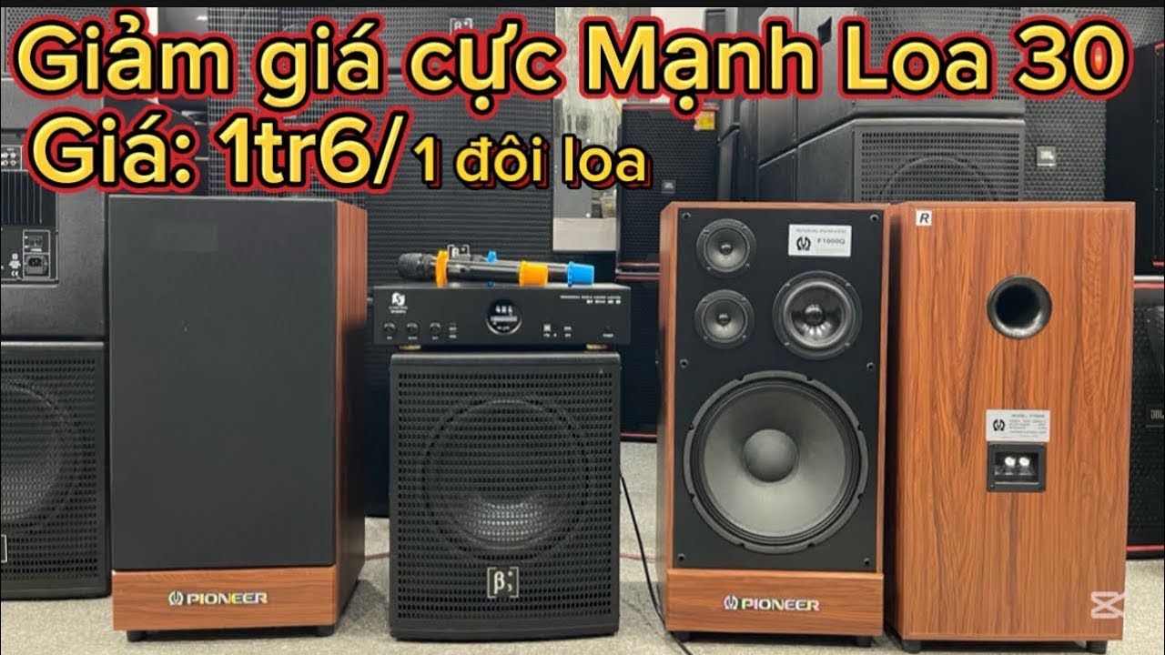 Giảm sập sànn đón tết Loa f1000. b3 30 giá 1tr6/1 đôi thanh lý 15 đôi Bán cắt lỗ ko lãi lờ..