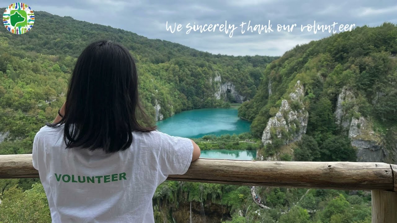 International Volunteer Day