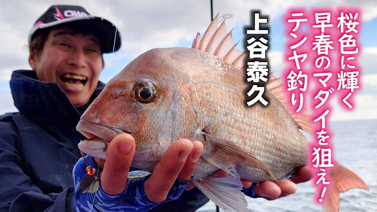 桜色に輝く早春のマダイを狙え！テンヤ釣り