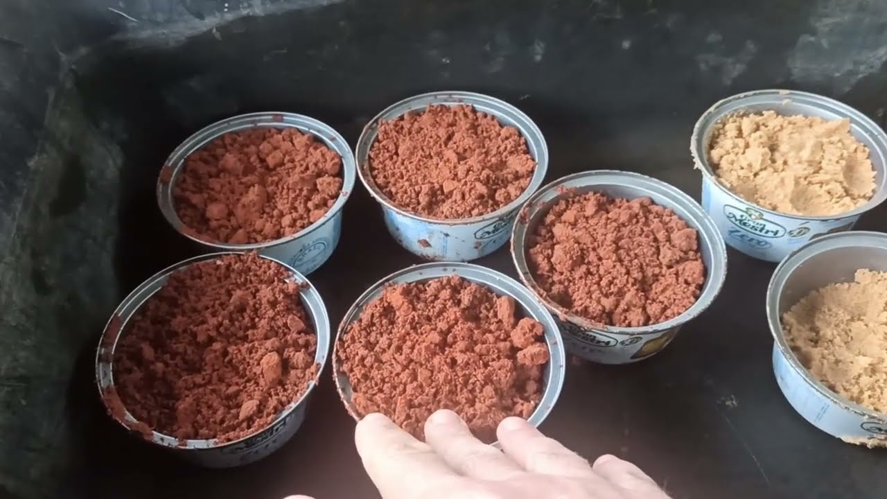 Correção do Solo para Fabricar tijolo ecológico corrigir solo para tijolo solo cimento #wildeyesEPS