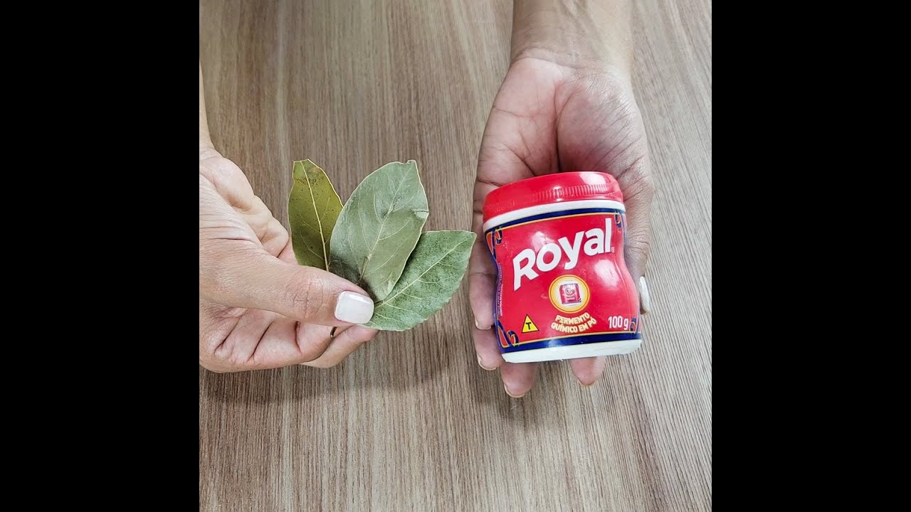Las hormigas y las cucarachas desaparecen con este truco que aprendí!