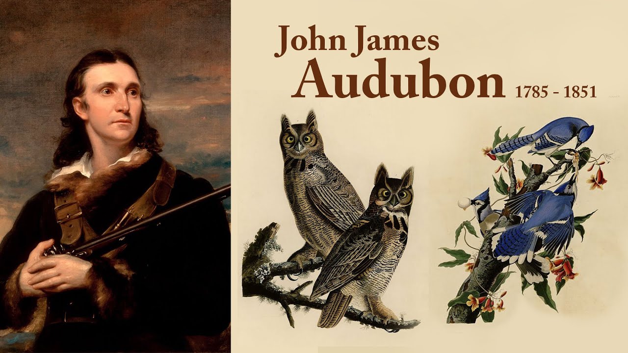 American Bird Artist 