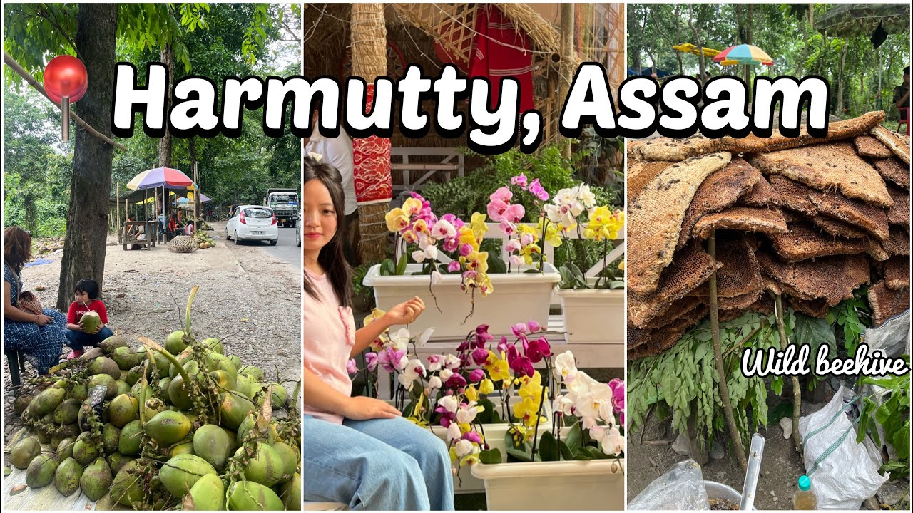 Assam Harmutty market scene | beehive | orchid season |Thrifting #dailyvlog #myvideojournal #youtube