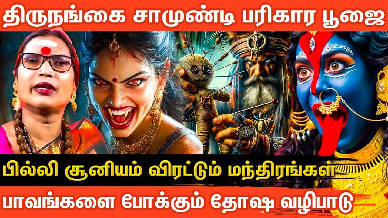 செய்வினைபில்லி சூனியம்  தோஷத்தில் இருந்து விடுபட ! Transgender Saammundi Malaika ! Aanmeega Glitz