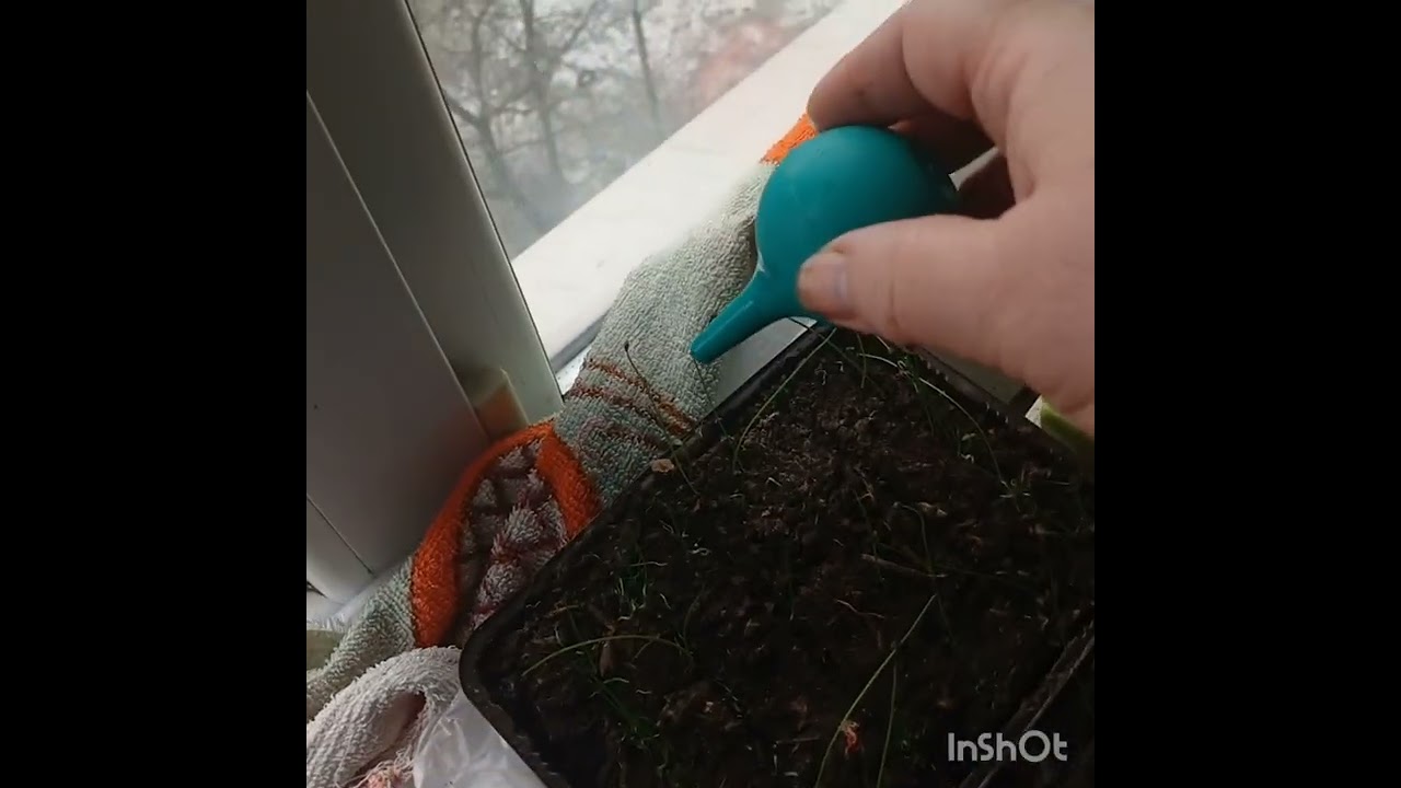 Снова снег...