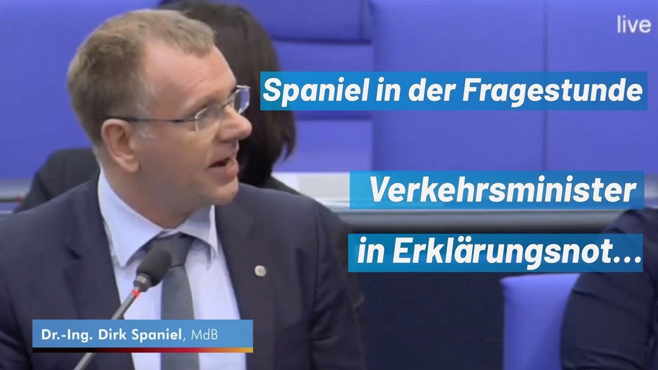 AfD im Bundestag - Spaniel in der Fragestunde