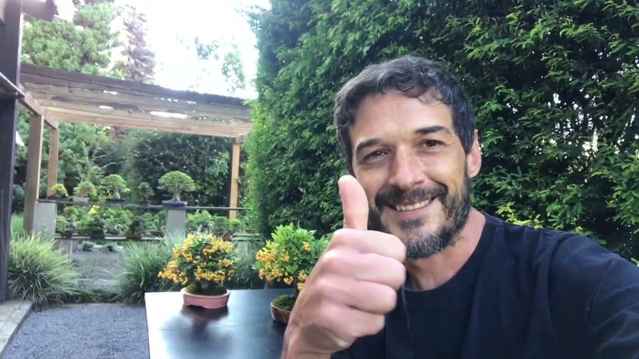 Cristian de Ross e seus Bonsai - Viveiro de Bonsai de Cristian de Ross