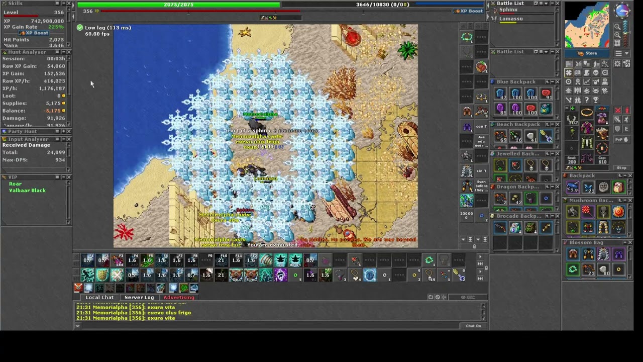 Issavi hunt solo mage 250+ ed/ms lamasus surface  expRAW1,5kk/hr loot 300k/hr