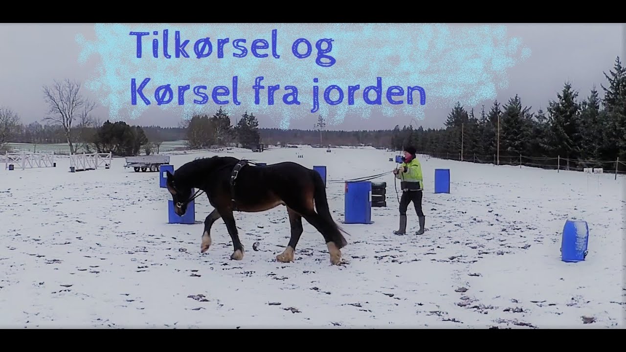 Tilkørsel, Trin 1; Kørsel fra jorden. Del 1, bliv fremme på hånden, drej og skift af side.