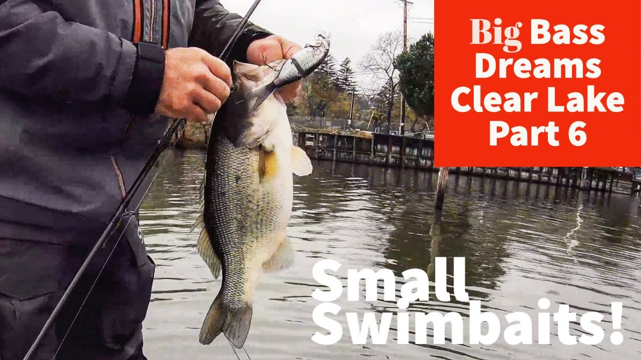 Small Swimbaits and Swimjigs Hammer Bass - Big Bass Dreams Clear Lake Part 6