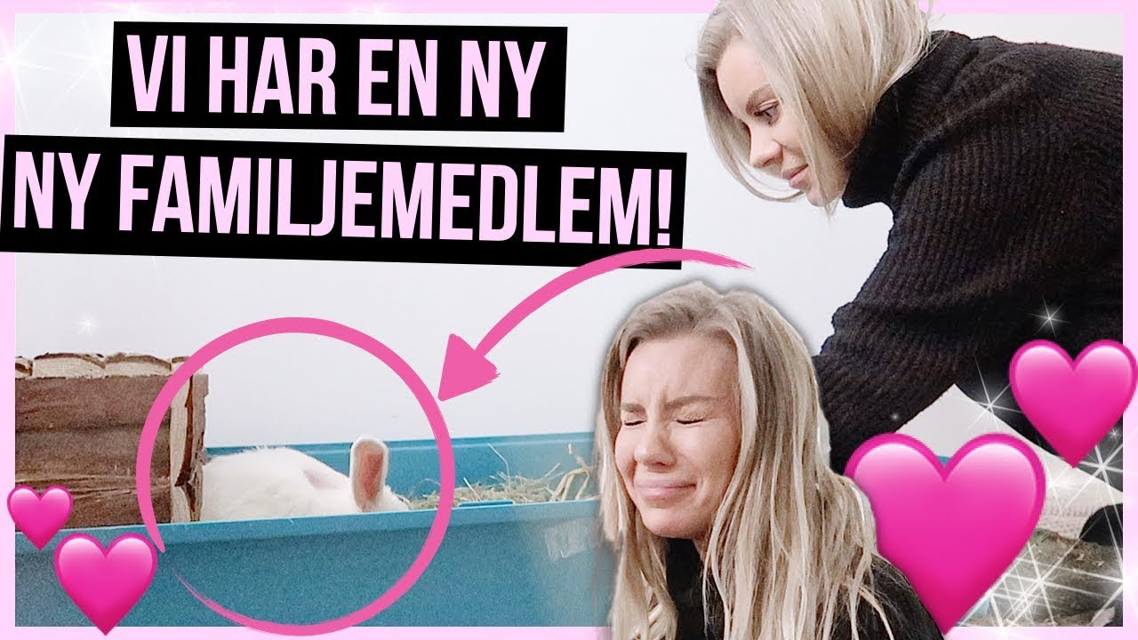 MÖT VÅR NYA FAMILJEMEDLEM | vlogg
