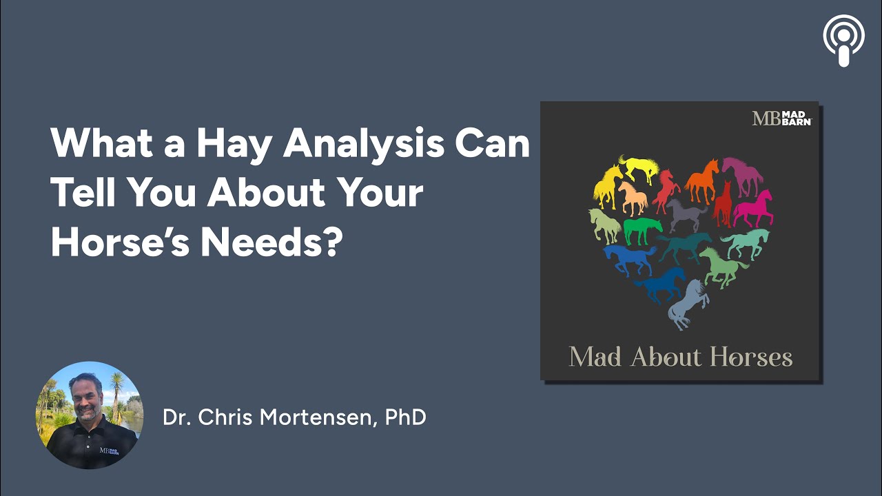 What a Hay Analysis Can Tell You About Your Horse's Needs?