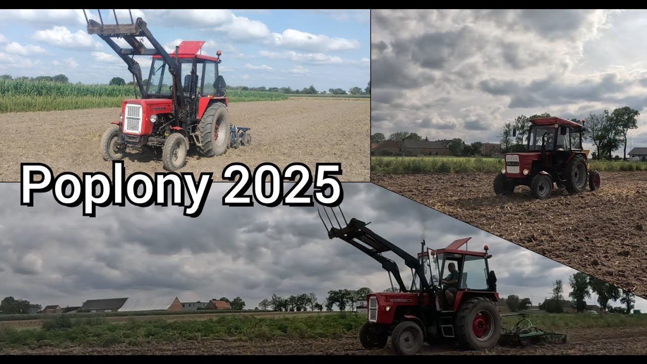 Siewy Poplonu Po Owsie || Talerzowanie - Rozsiewanie & Uprawa | Ursus C-360 & Władimirec T25 W Akcji