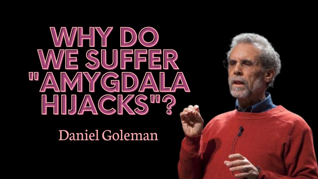 Daniel Goleman explains why we suffer 
