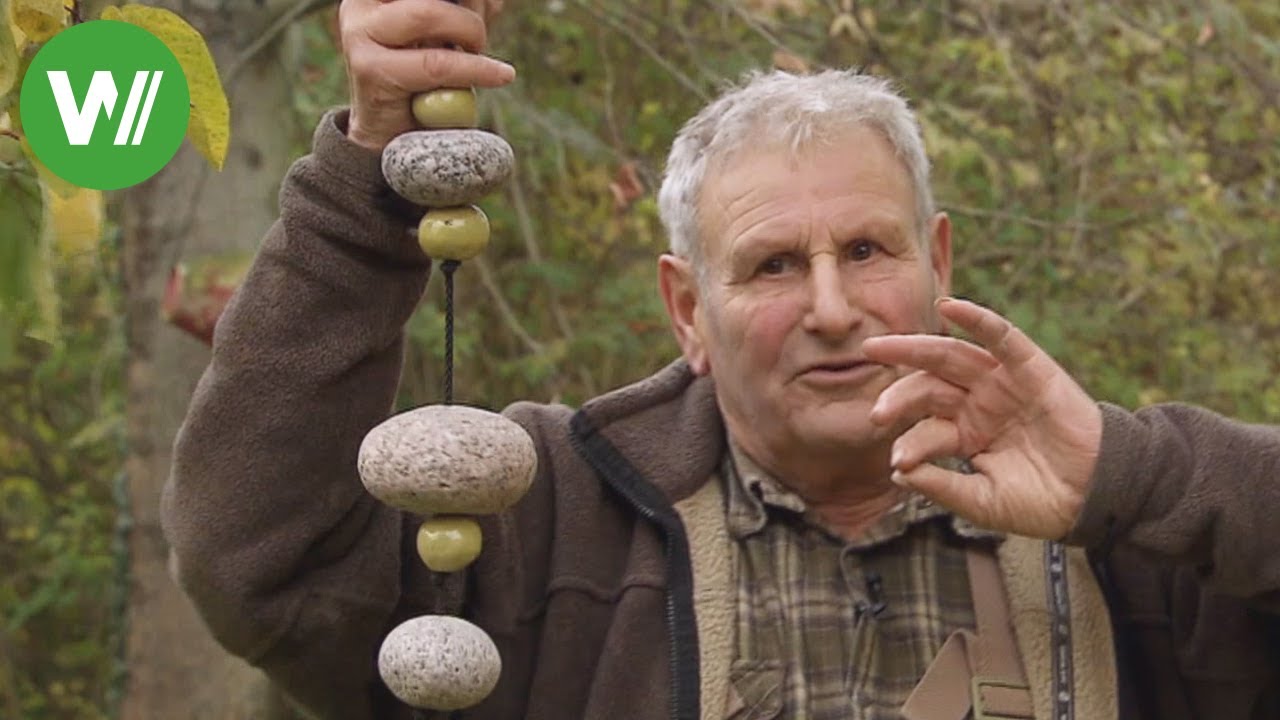 So tr&auml;gt der Apfelbaum besser - Steinketten f&uuml;r Obstb&auml;ume