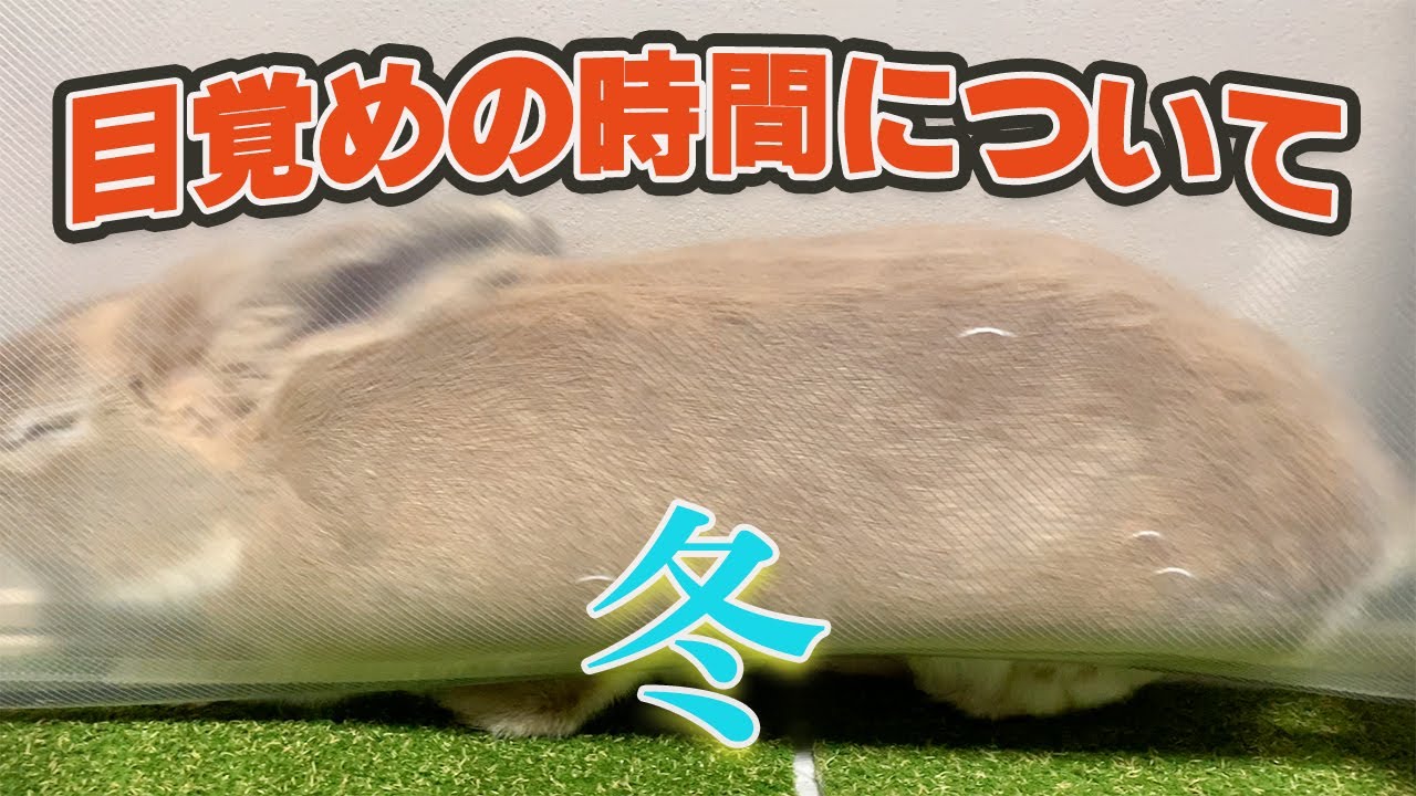 起床時間（冬）
