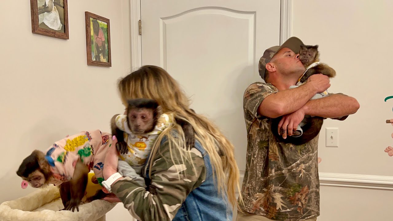 Surprising our Monkeys when their human siblings got here! ❤️😍❤️