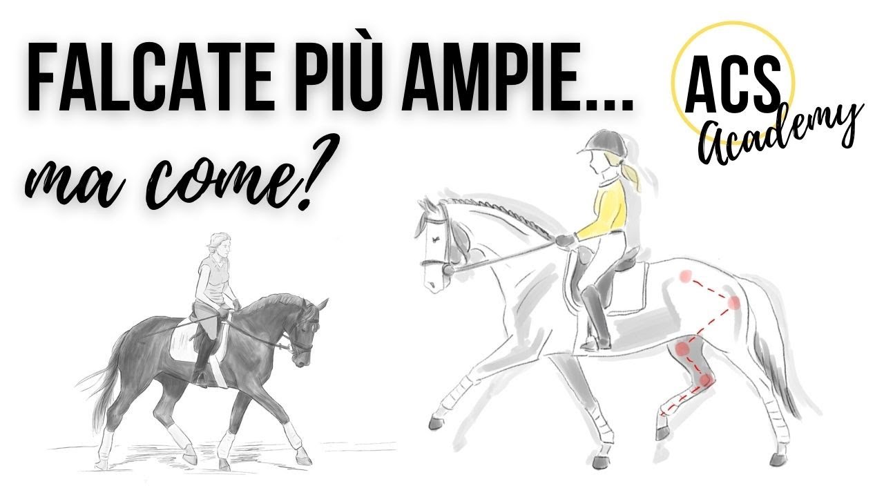 Come rendere le falcate più ampie 🐴