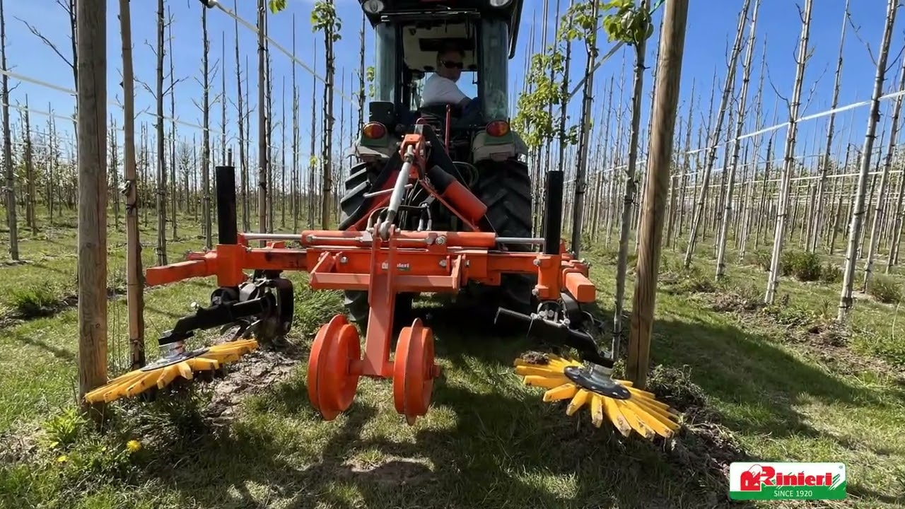 Undervine mechanical weeding in orchards with Bio-dynamic fingerhacke - Rinieri srl