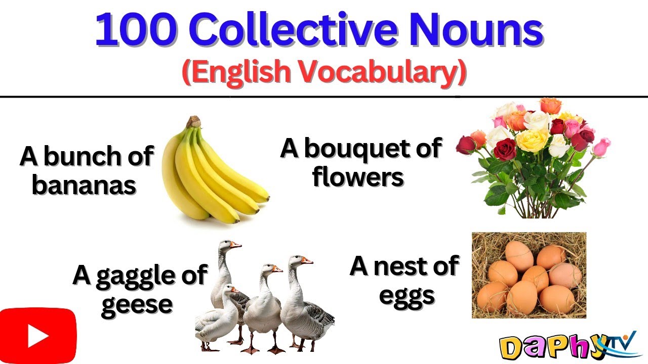100 Collective Nouns for Children | English Vocabulary