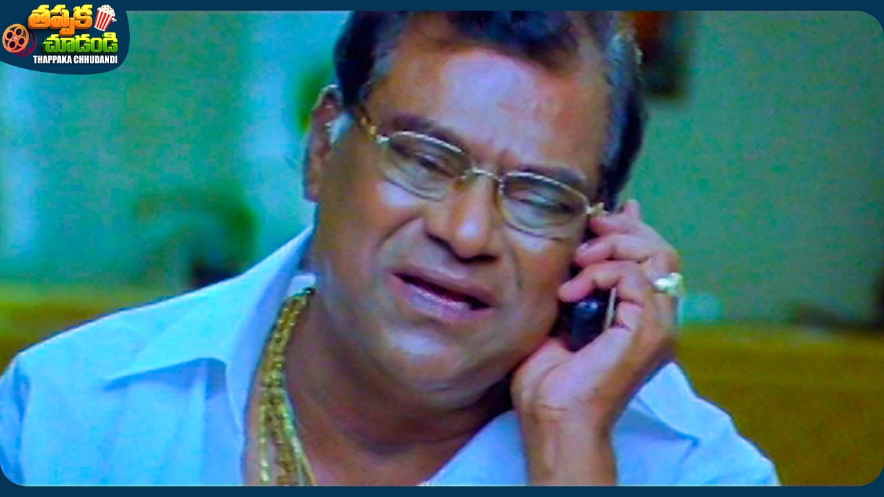 Kota Srinivasa Rao And Nithiin Telugu SuperHit Movie Scene | @ThappakaChudandi9