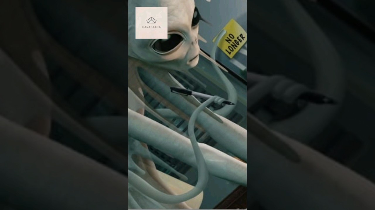 ඇමරිකාවේ තියෙන අමුතුම රක්ෂණය #haraskada l