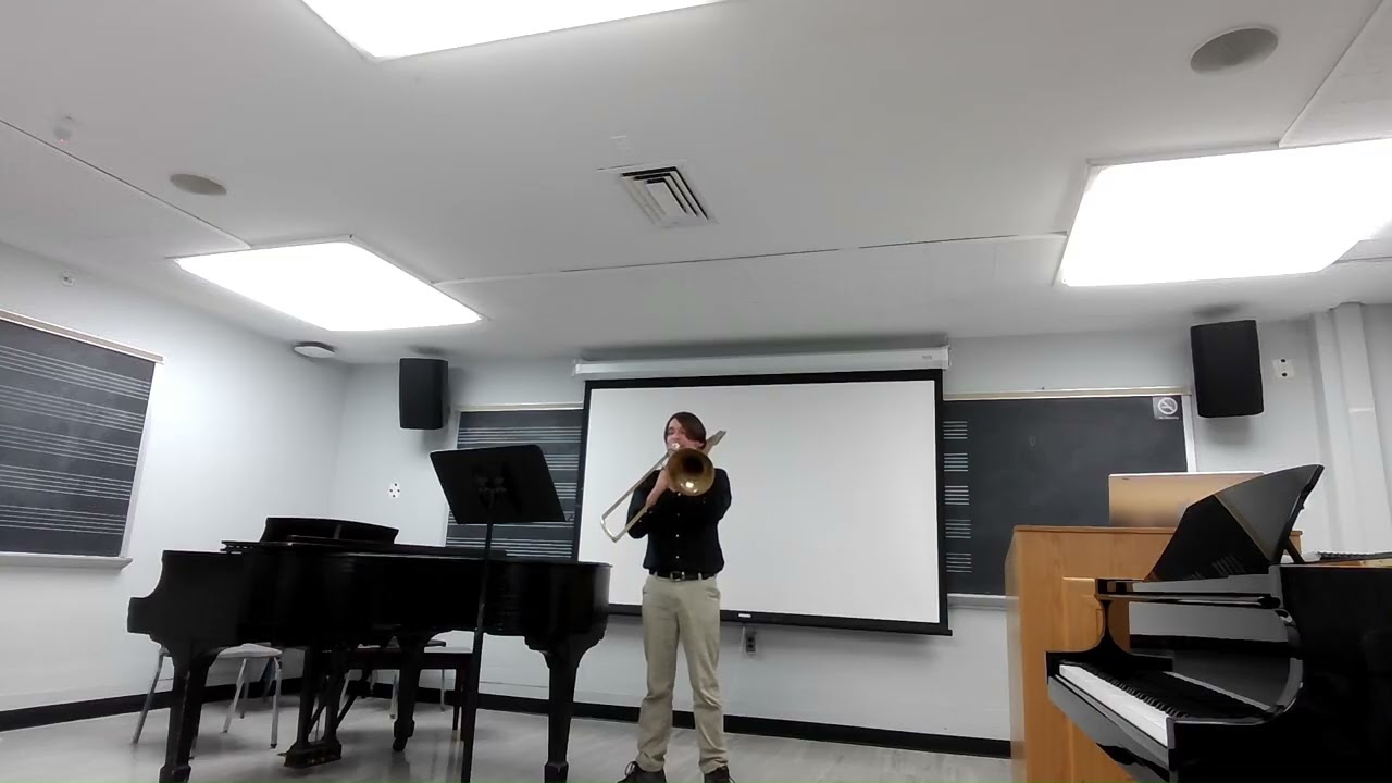 Solo - David Concertino mvt. 1