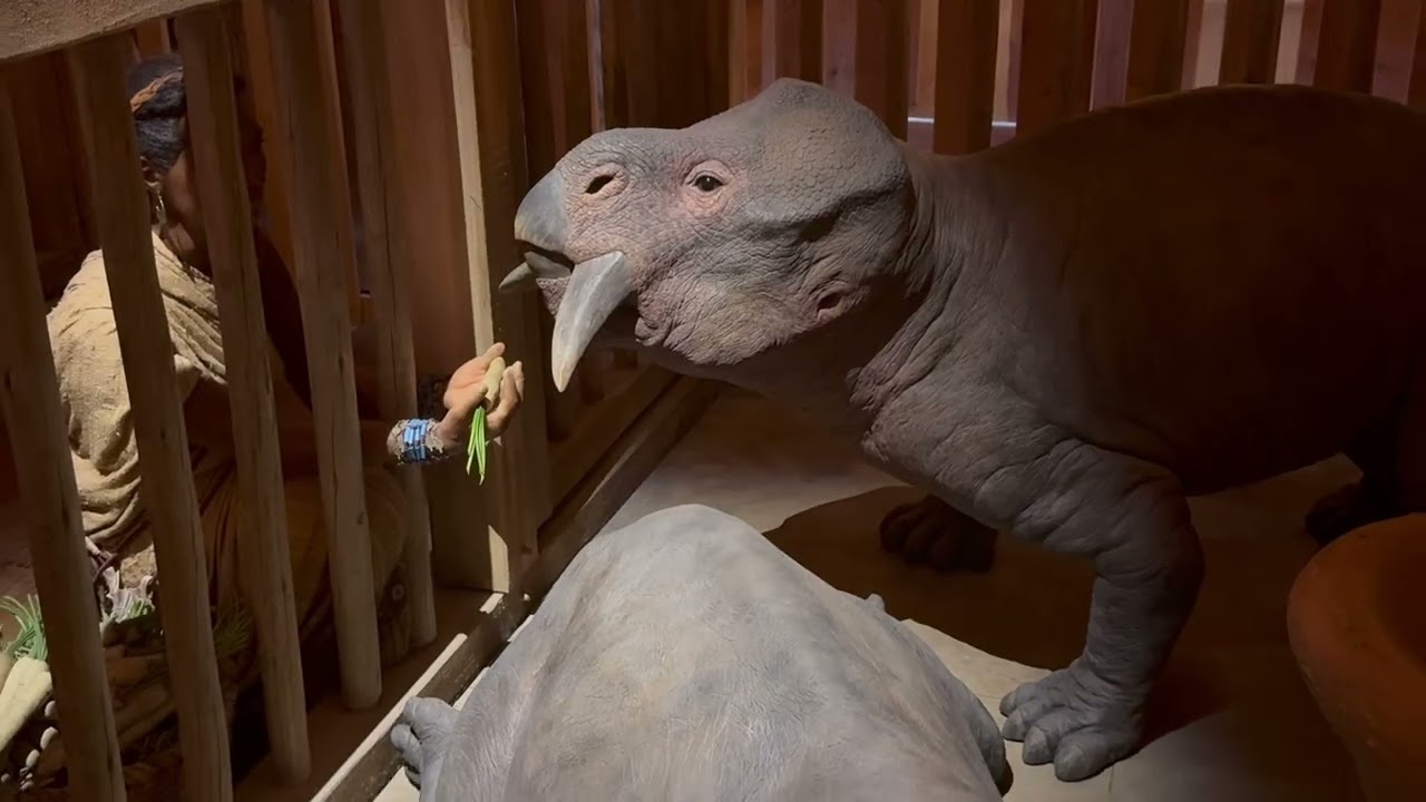 Noah’s Ark  Encounter 
