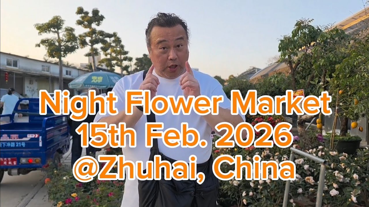 Chinese New Year Flower Market Walk in Zhuhai
