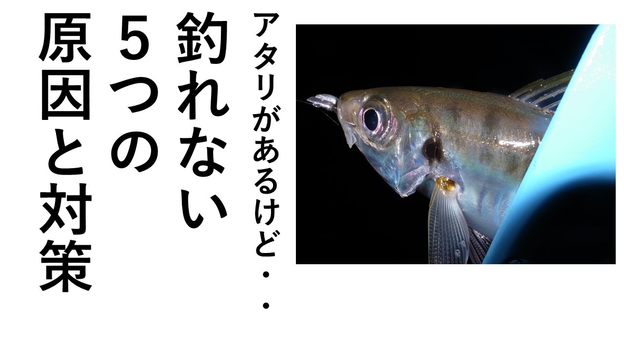 【アジング】アタリがあるけど釣れない時の５つの原因と対策とは？